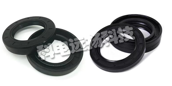 德國(guó)SIMRIT油封TC系列