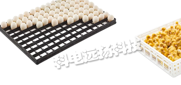 比利時(shí)PETERSIME孵化器/手推車(chē)/入孵機(jī)托盤(pán)